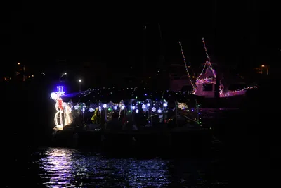 DSC_2507 (Large).JPG